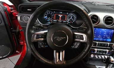 Mustang