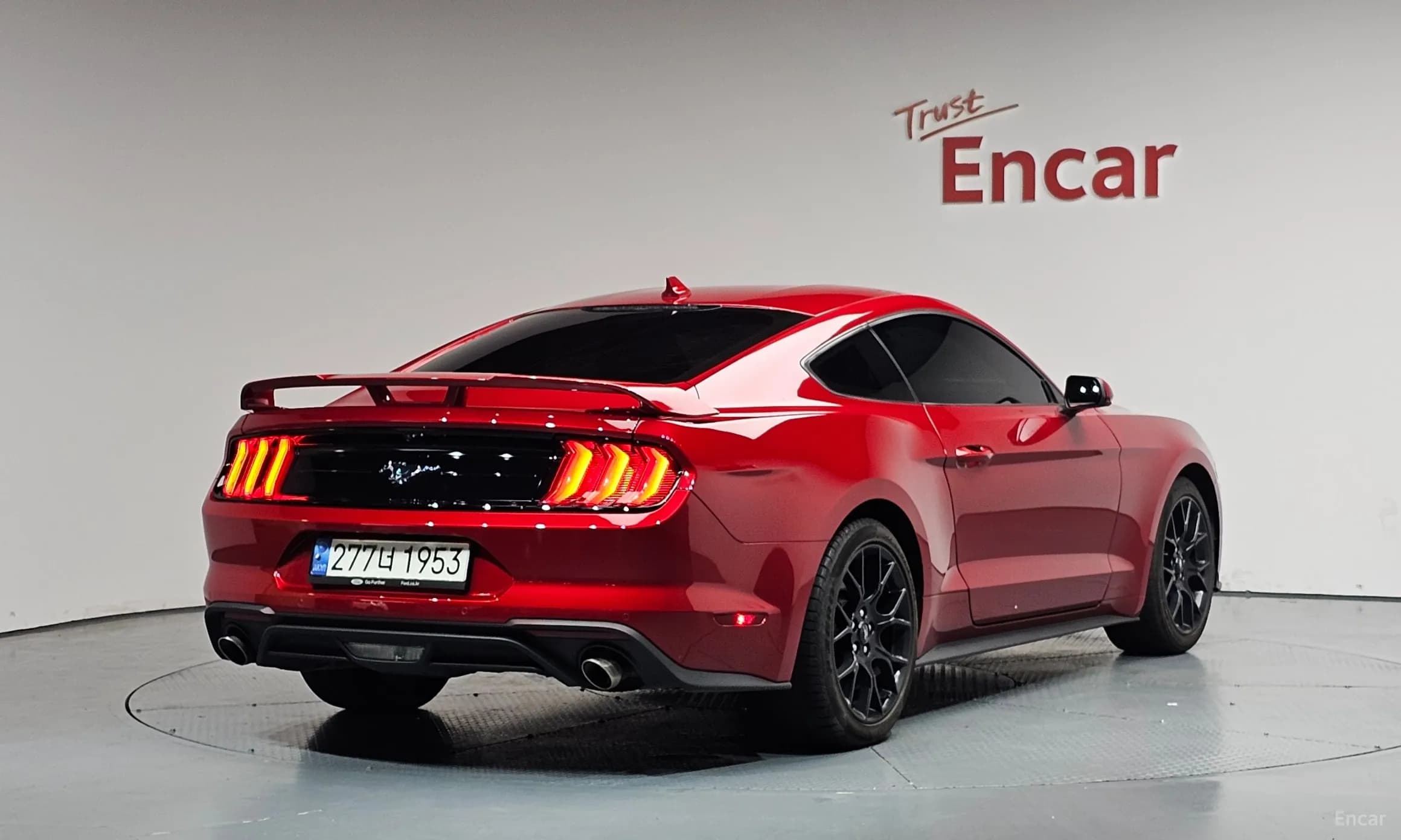 Mustang