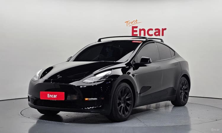 Model Y