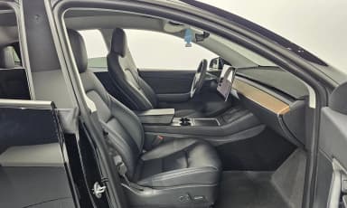 Model Y