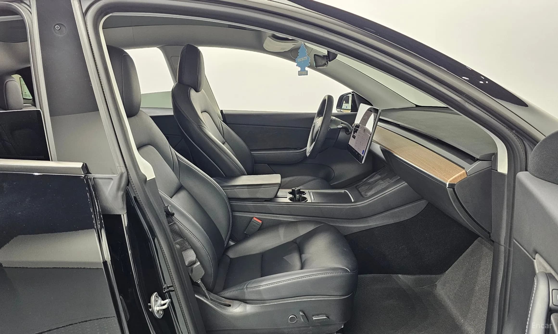 Model Y