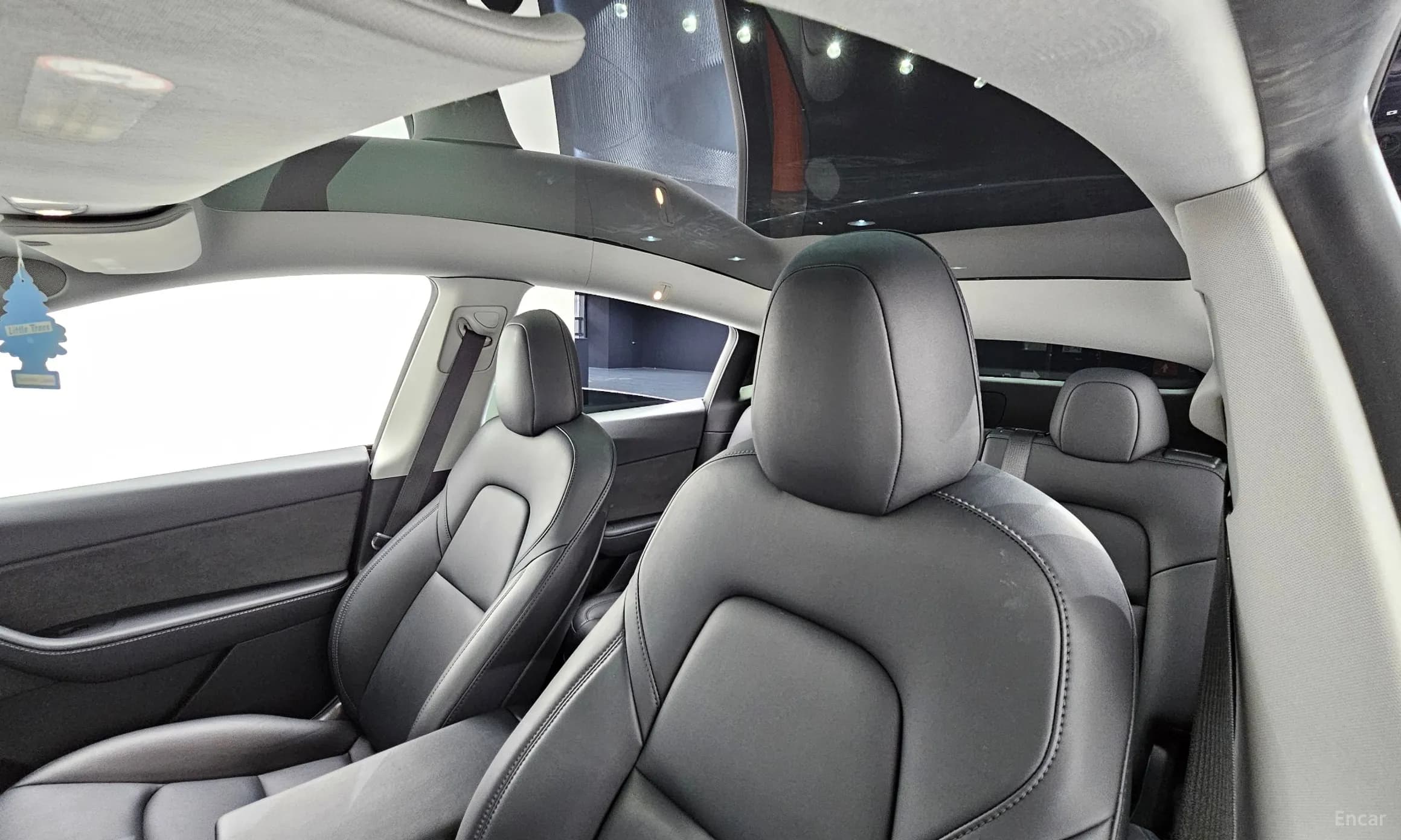 Model Y