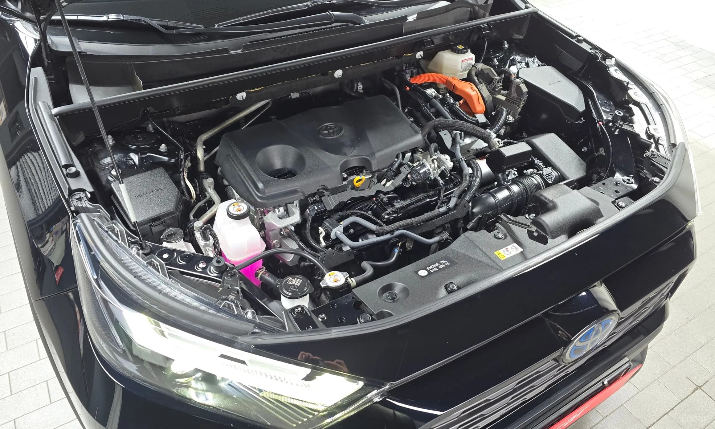 RAV4 5th Generation