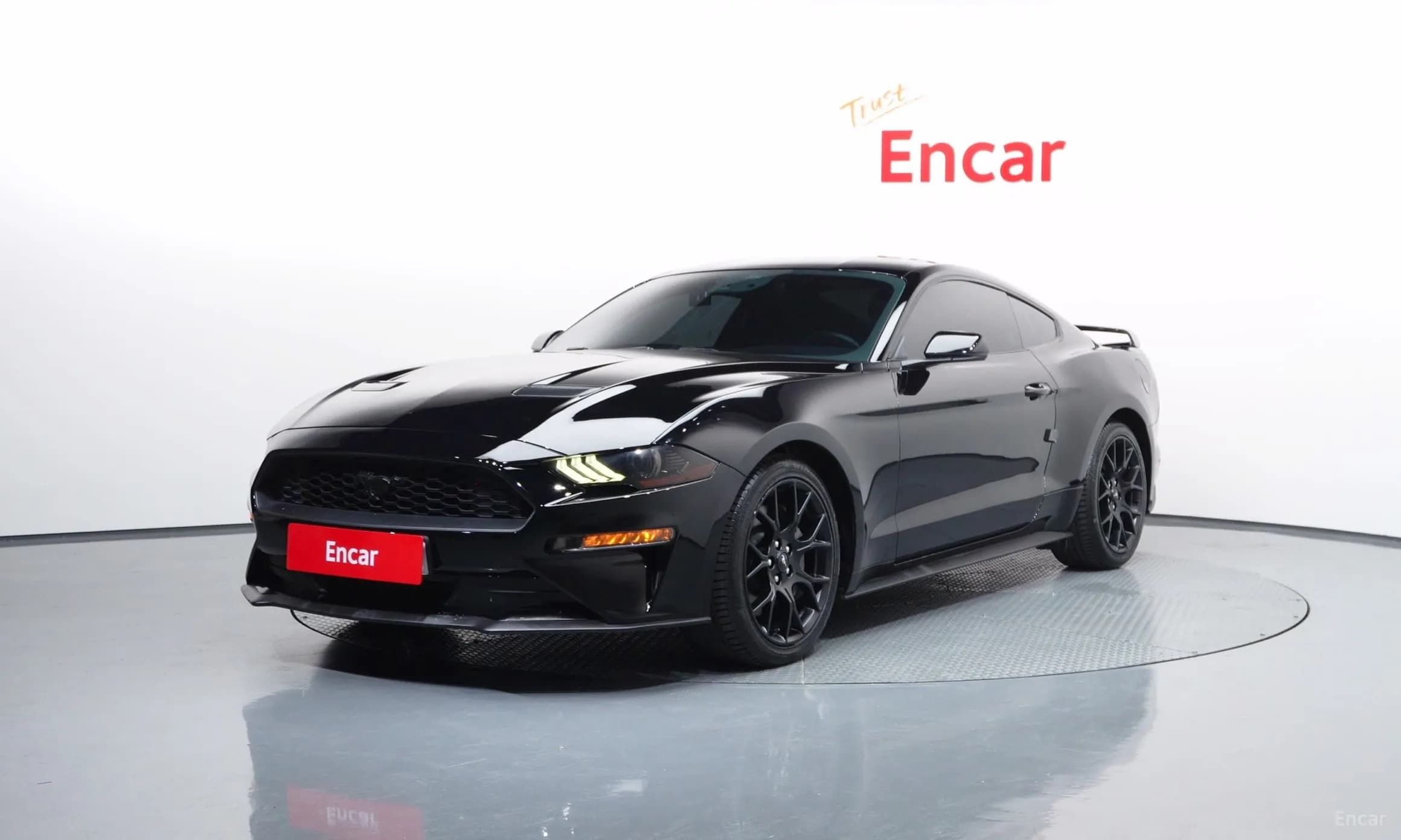 Mustang