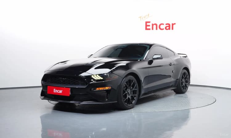 Mustang