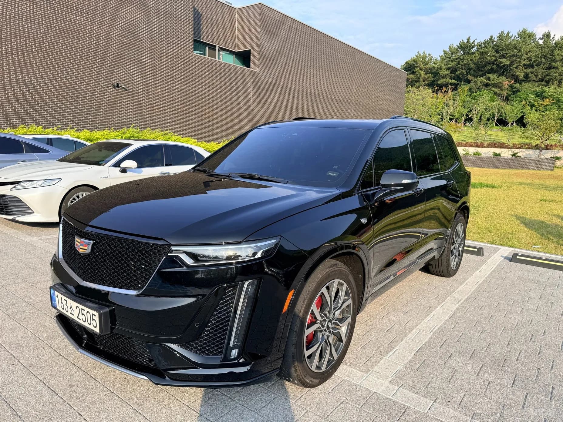 XT6