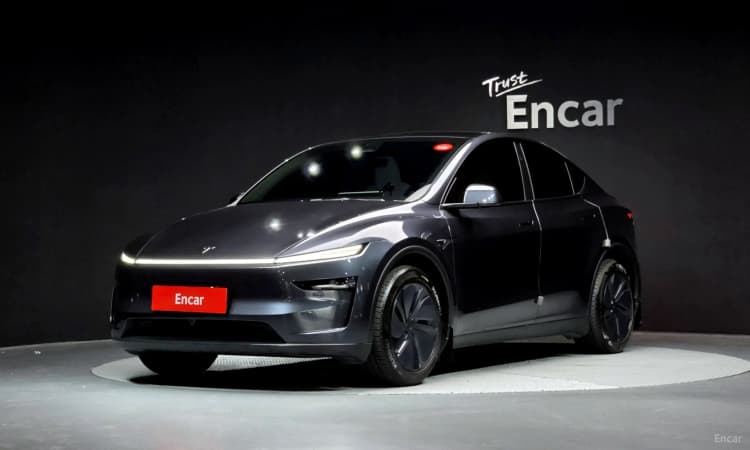 Model Y