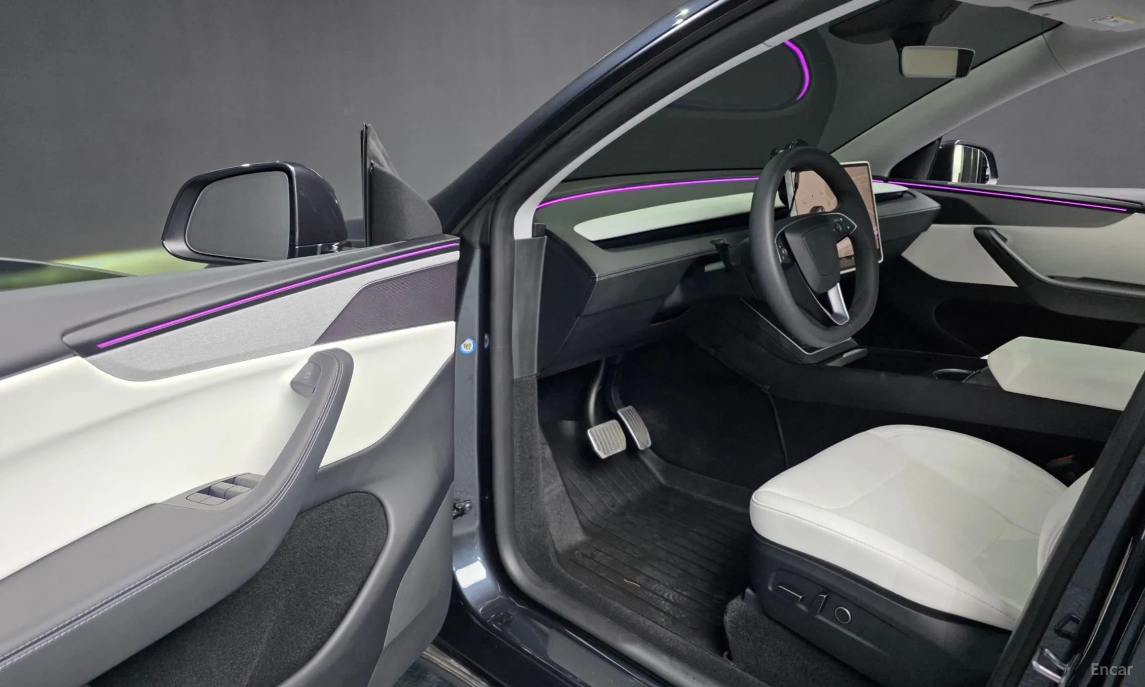 Model Y