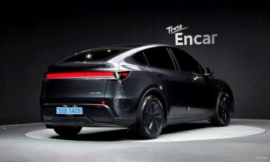 Model Y