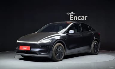Model Y