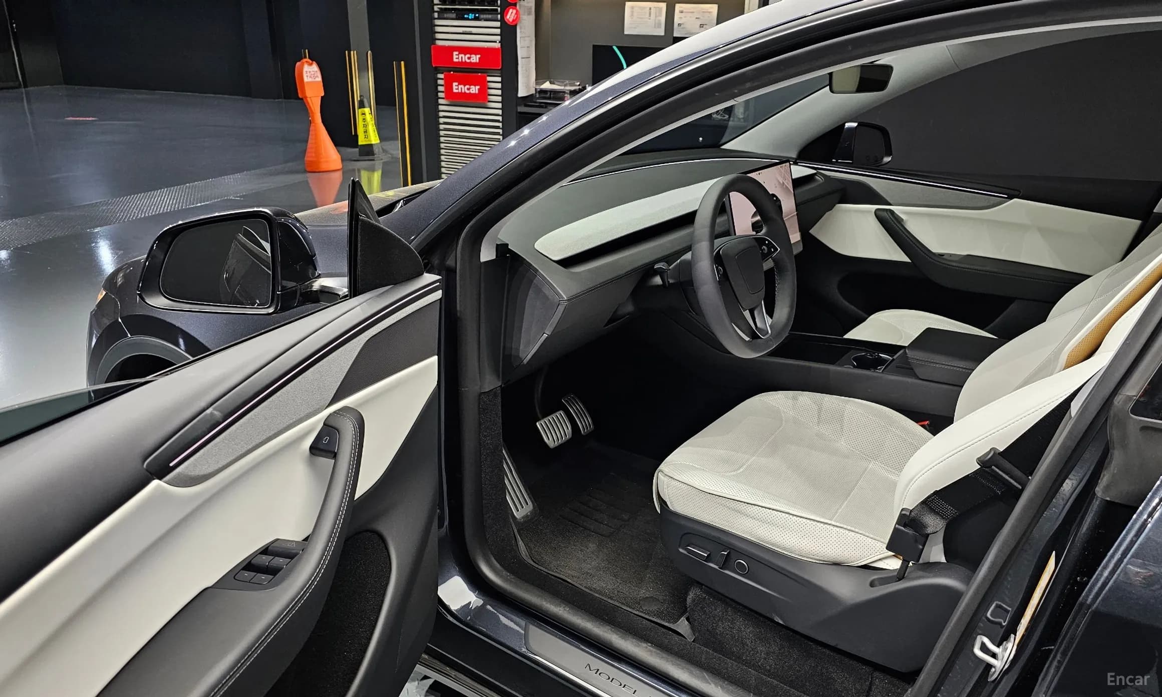 Model Y