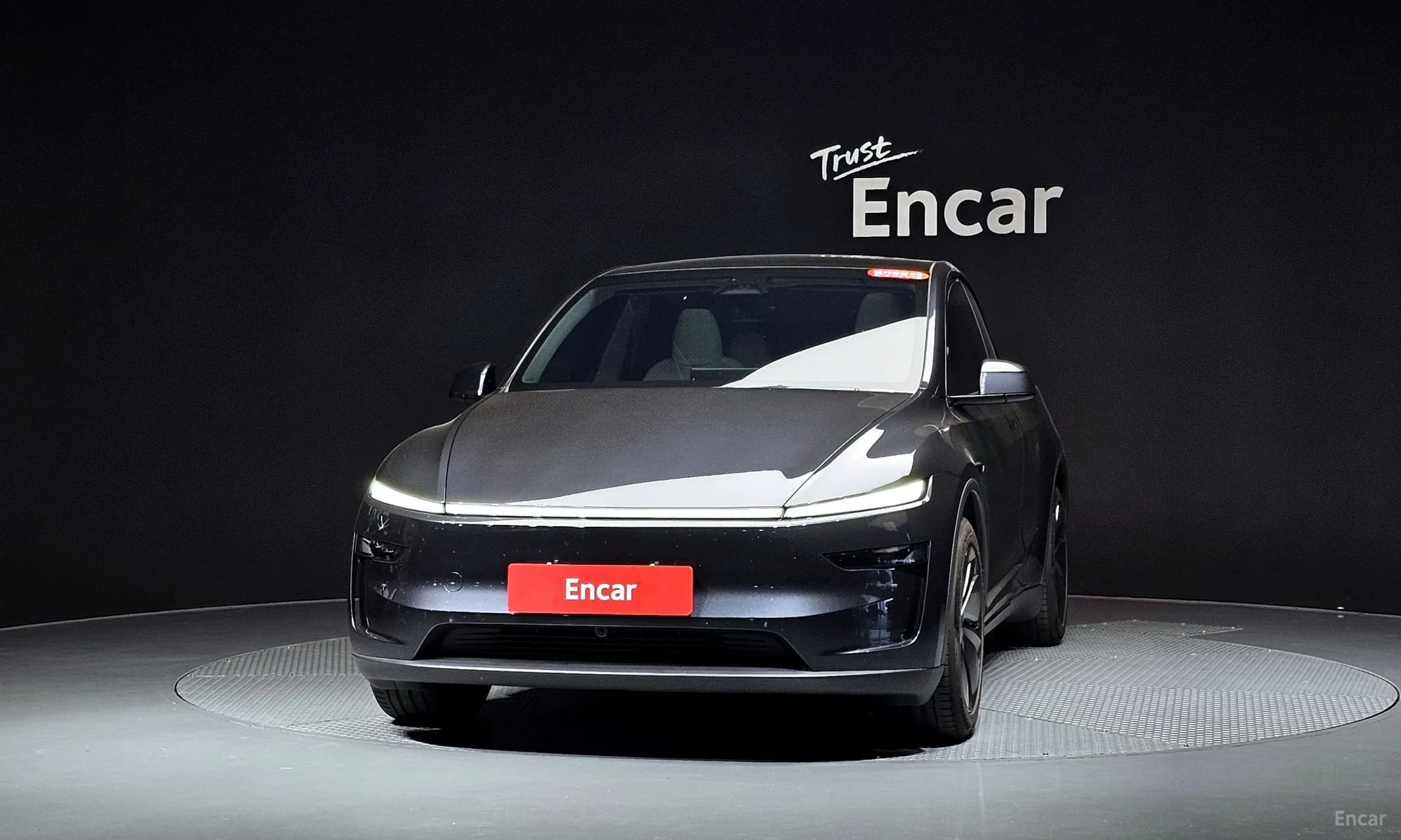 Model Y