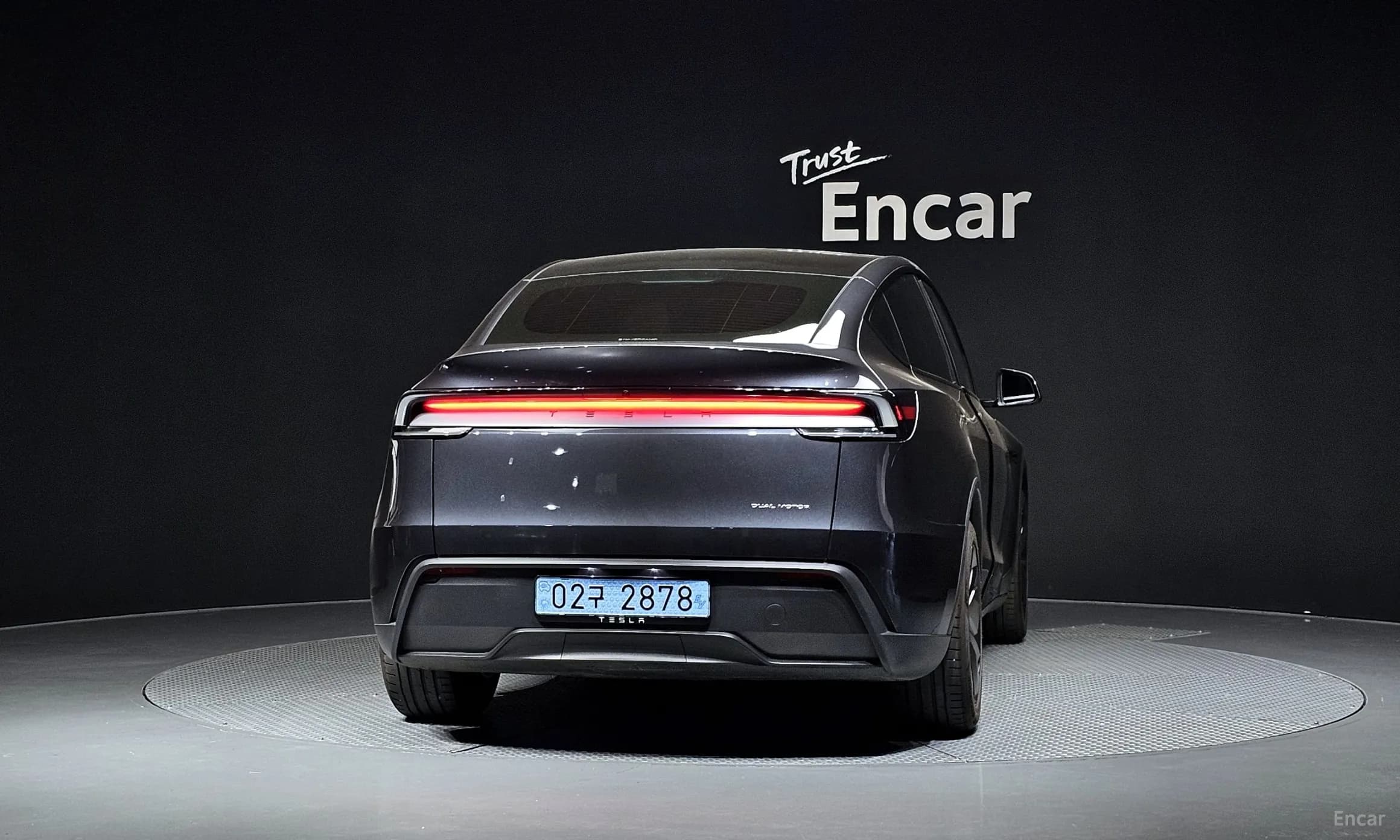 Model Y