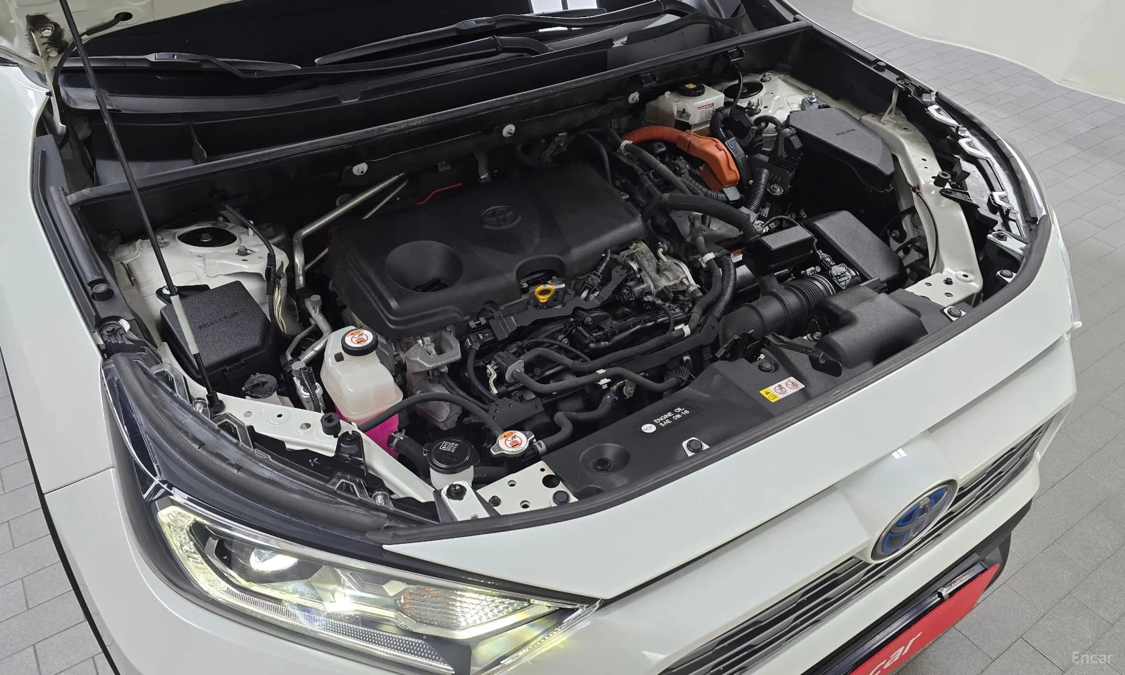 RAV4 5th Generation