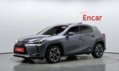 UX250h