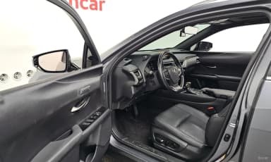 UX250h