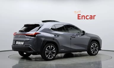 UX250h