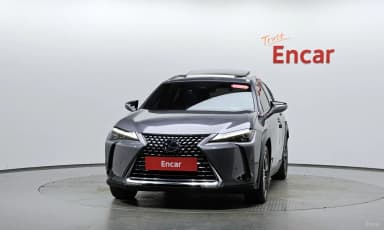 UX250h