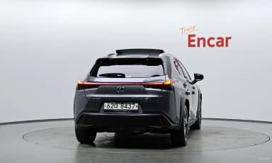 UX250h