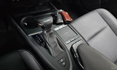 UX250h
