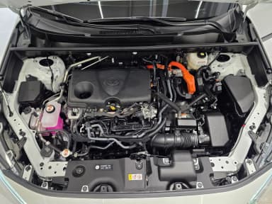 RAV4 5th Generation