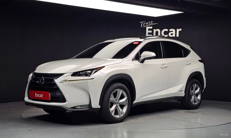 NX300h