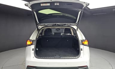 NX300h