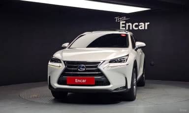 NX300h