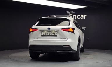 NX300h