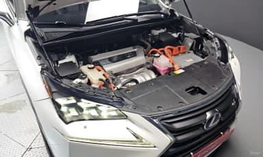 NX300h