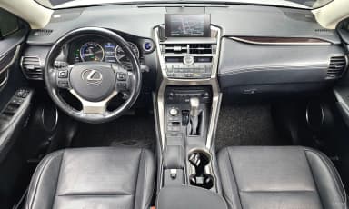 NX300h