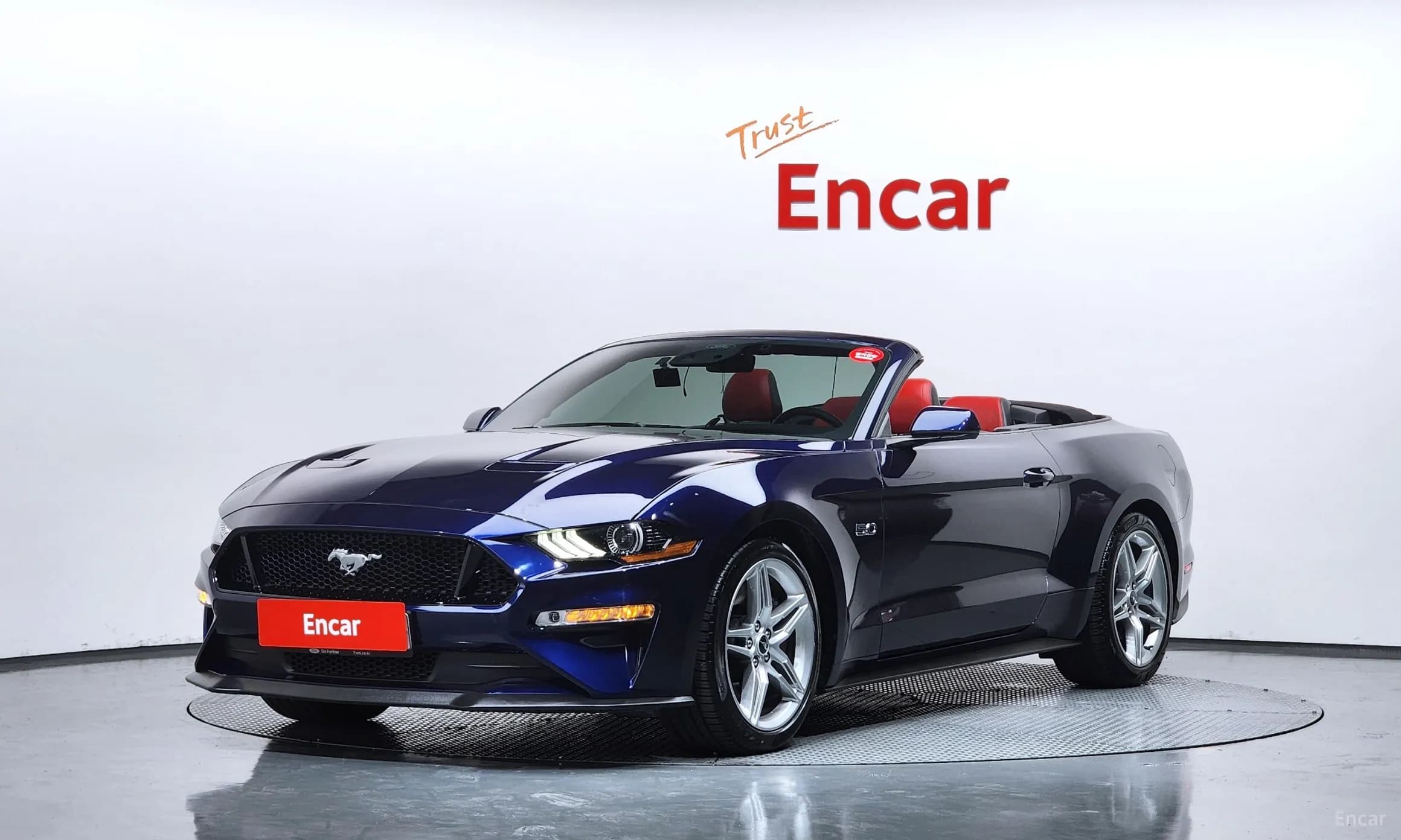 Mustang