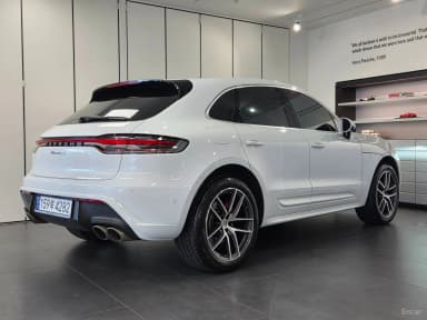 Macan