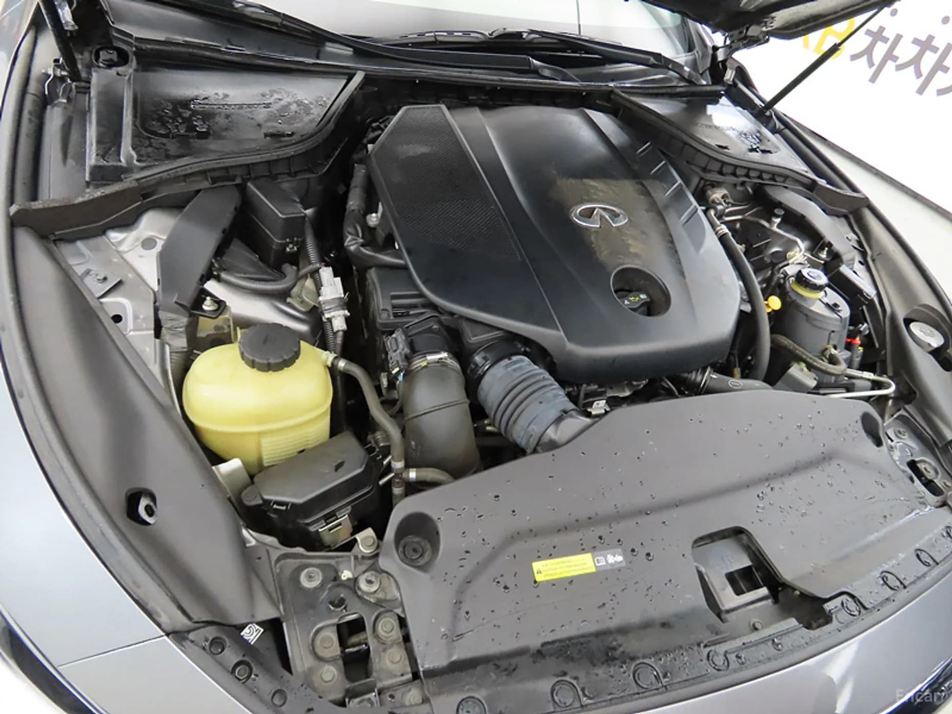 Q50