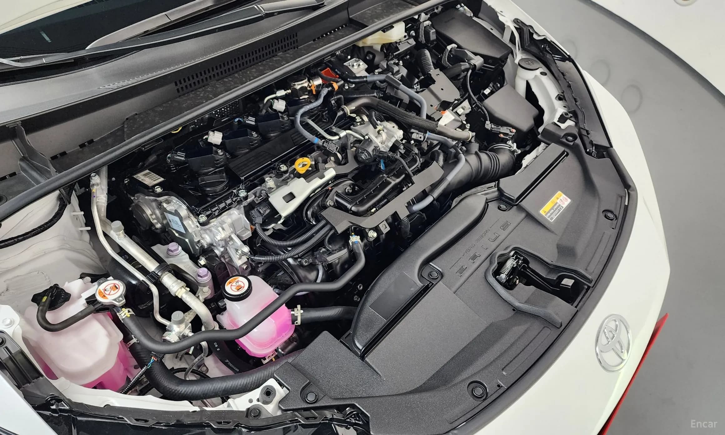 Prius 5th Generation