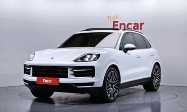 Cayenne (PO536)