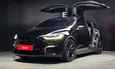 Model X