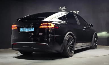 Model X