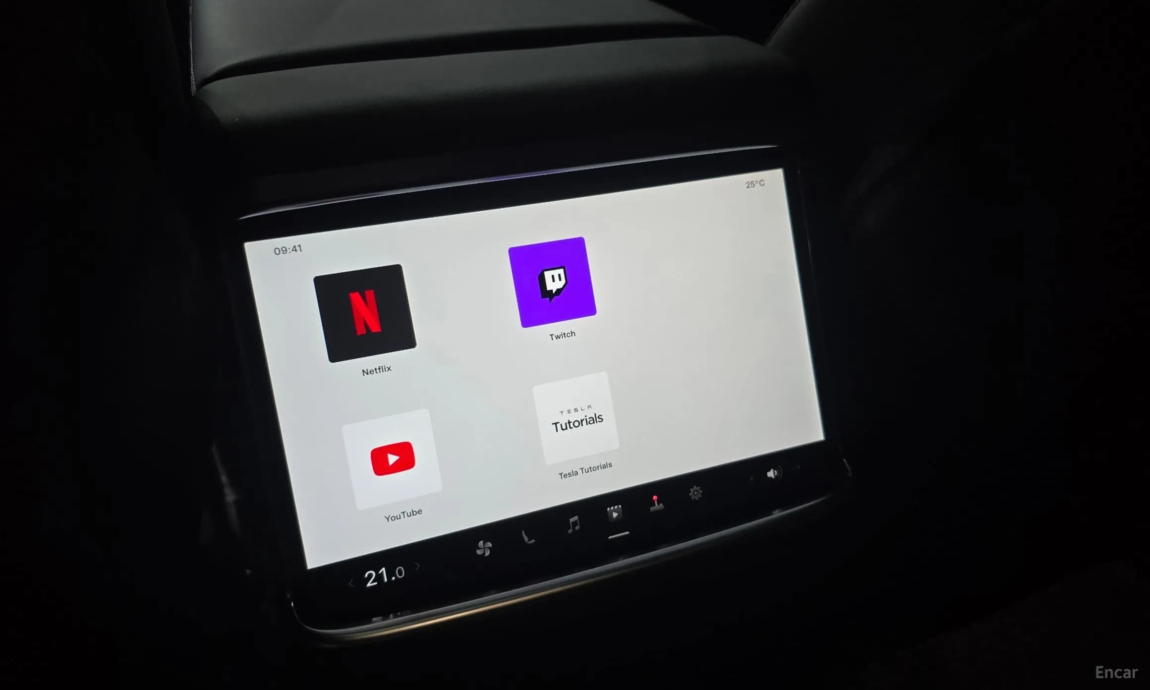 Model X