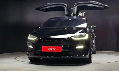 Model X