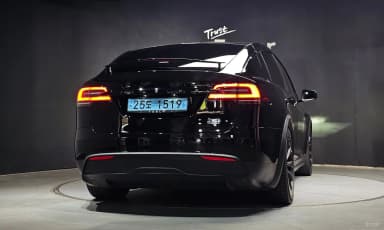 Model X