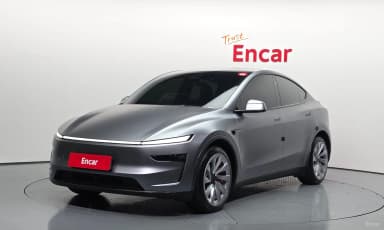 Model Y