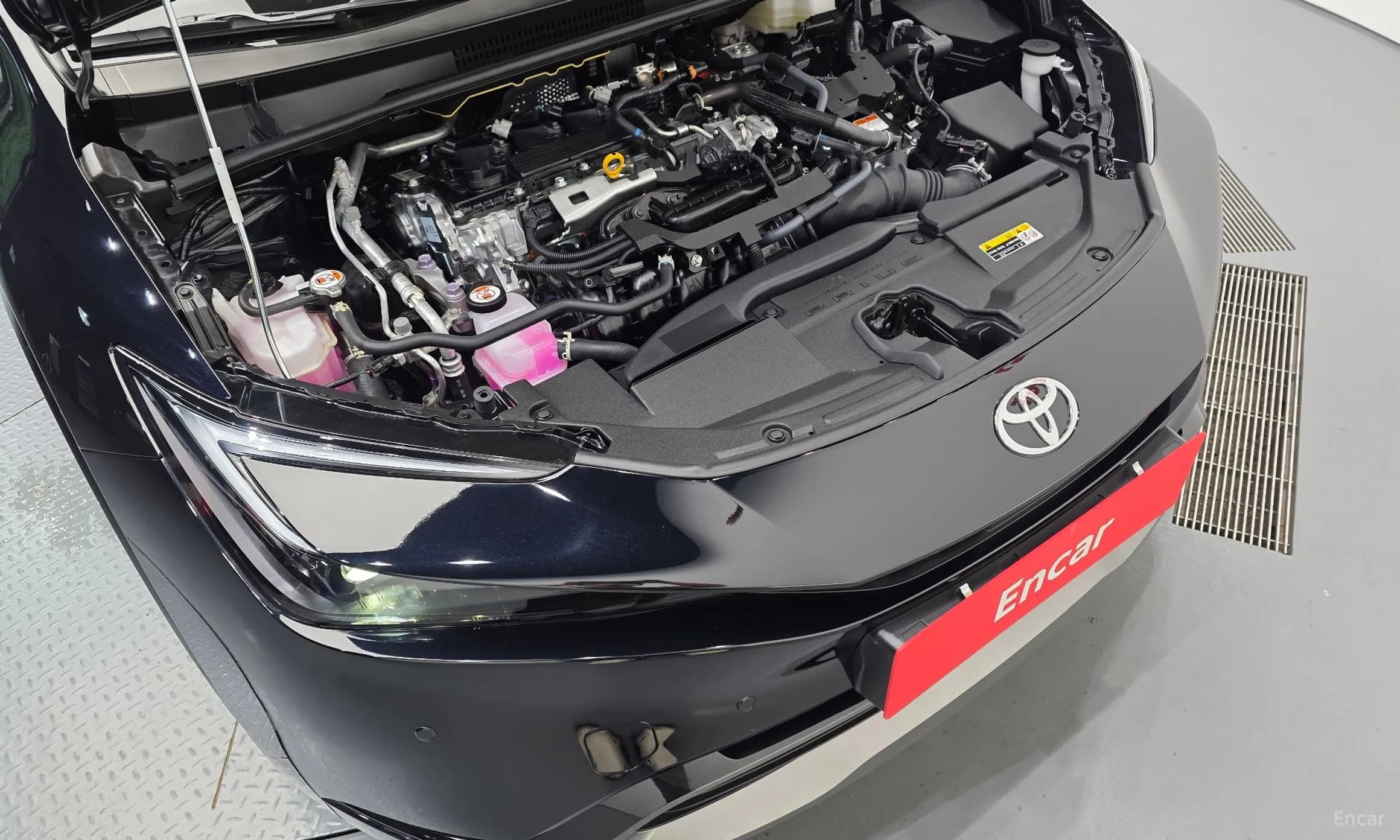 Prius 5th Generation