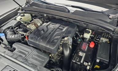 Rexton Sports