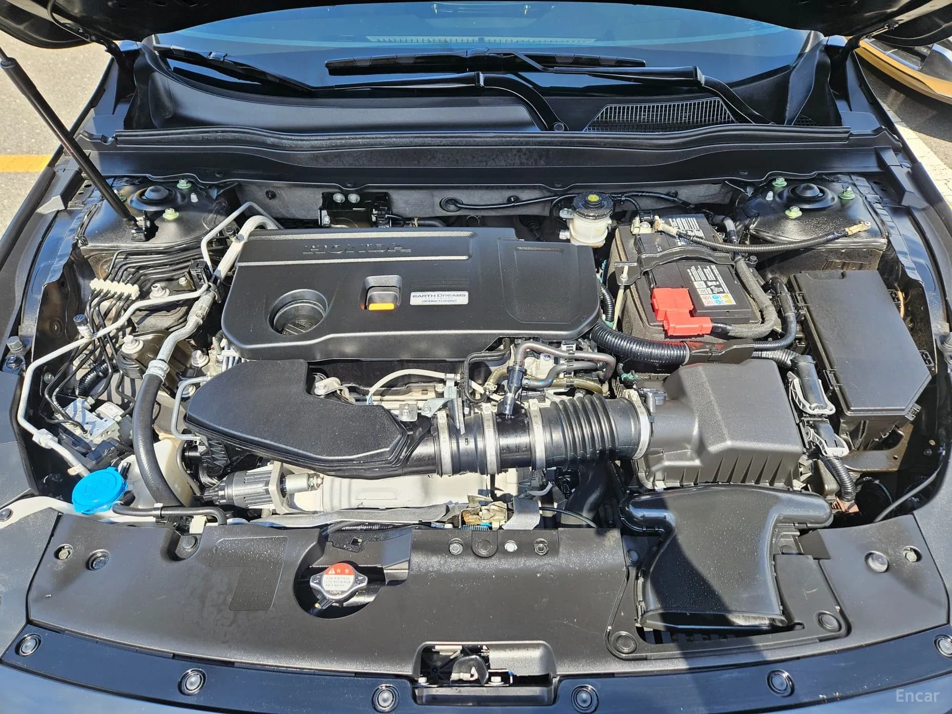 Accord 10th Generation