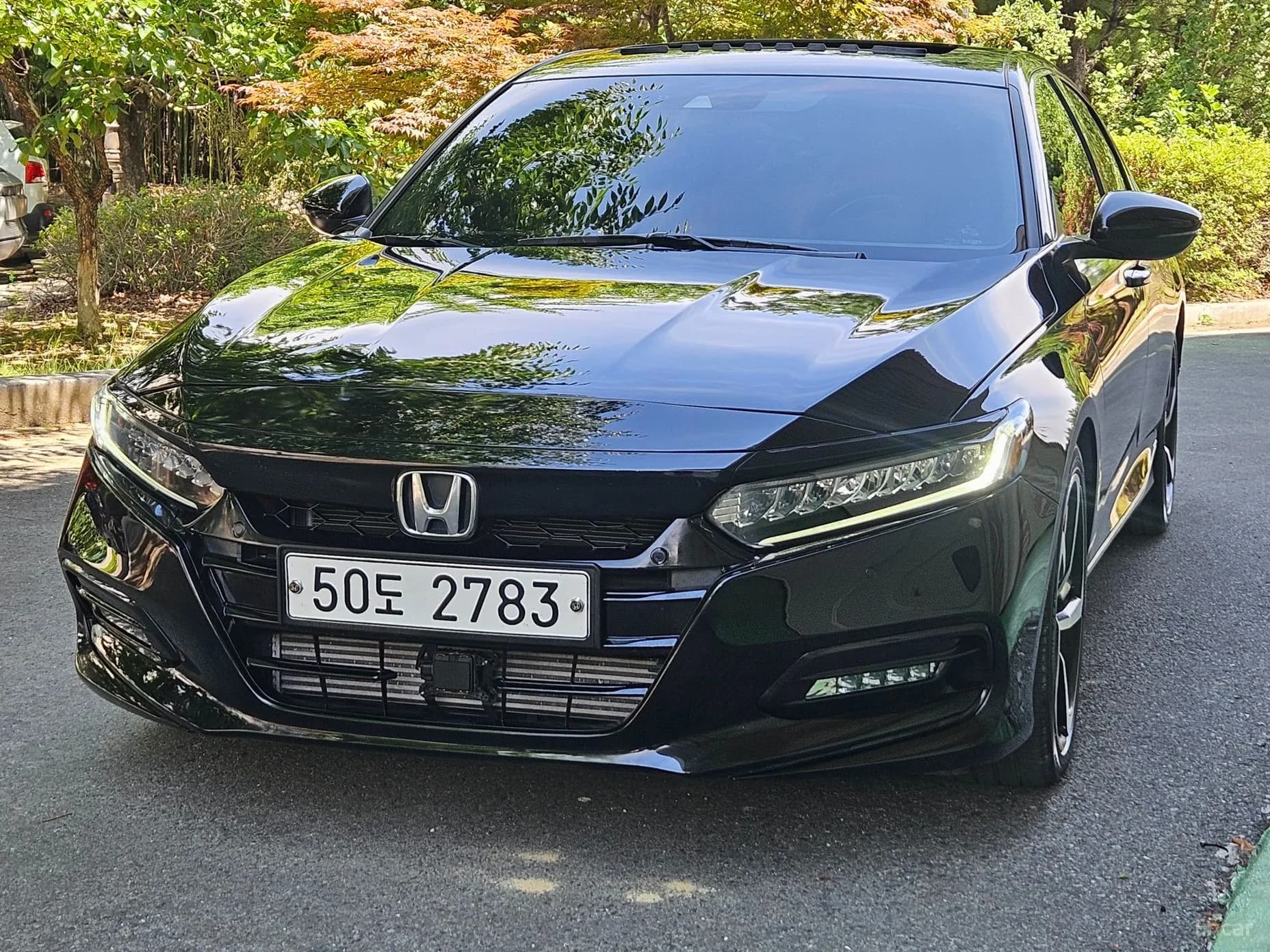 Accord 10th Generation