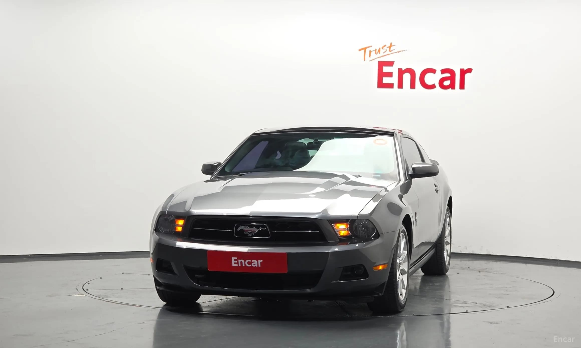 Mustang