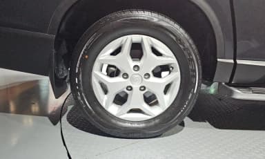 Rexton Sports
