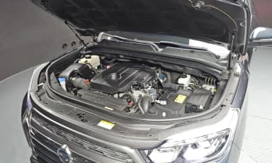 Rexton Sports