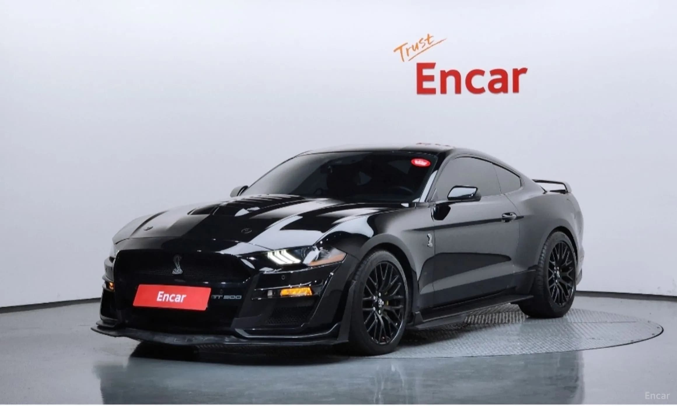 Mustang